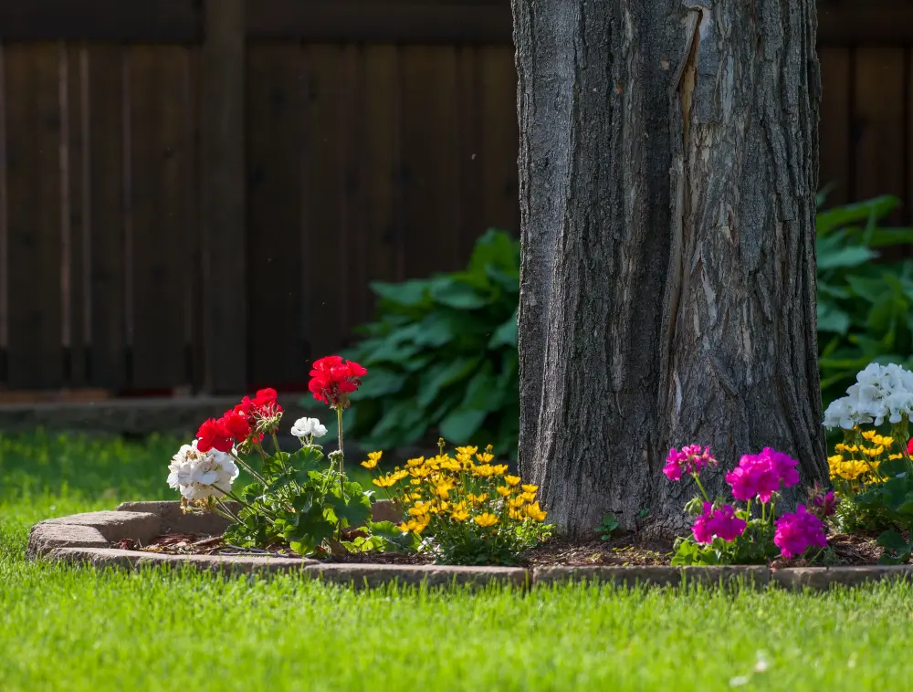 Flower bed edged in stone with red, white, pink, and yellow blooms around a mature tree